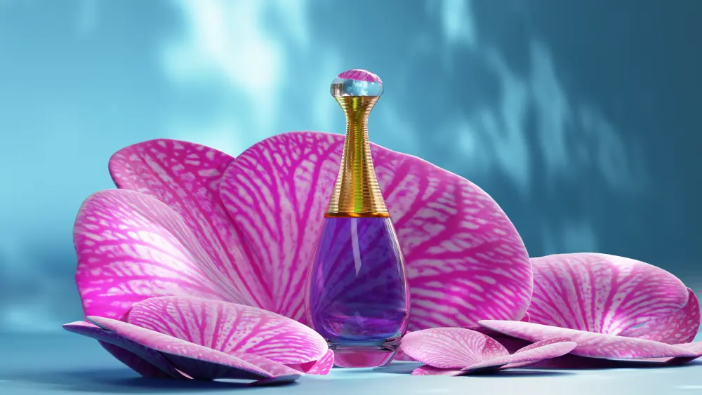 تصميم و عرض المنتجات 3D