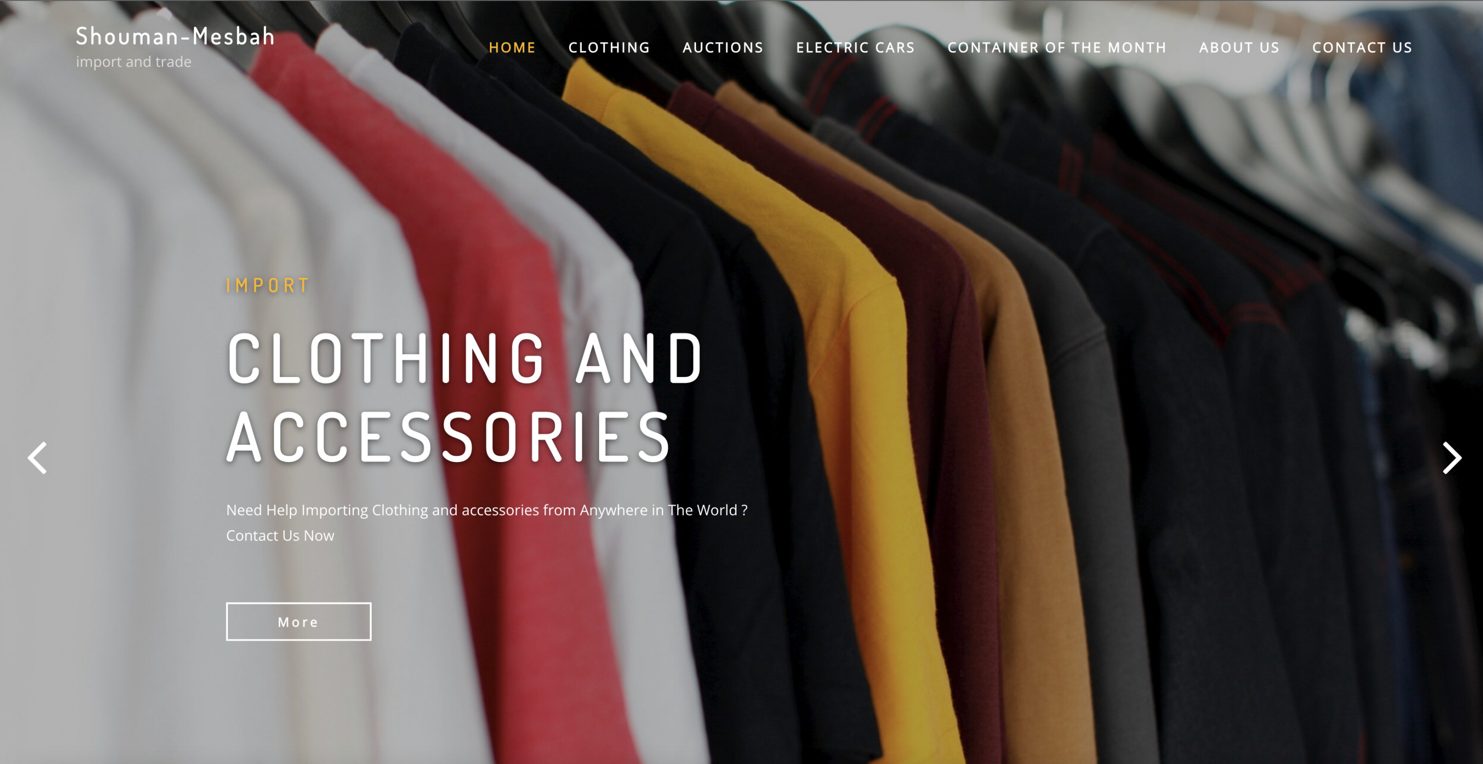 إدارة وتطوير المواقع