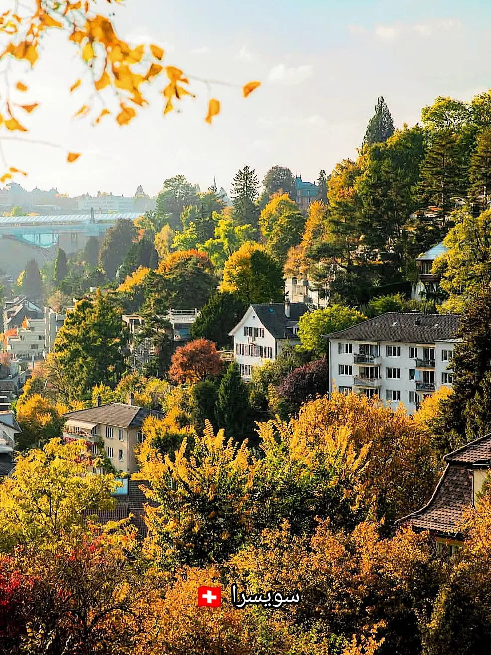 تعديل علي فديوهات او صور