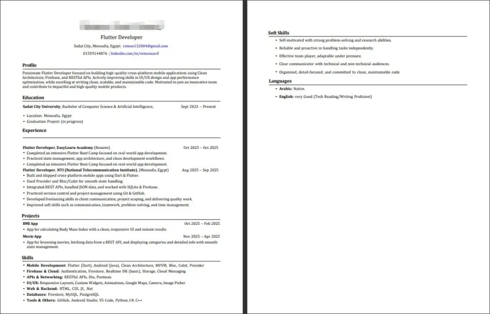 عمل سيرة ذاتية بشكل احترافية واجتياز ATS