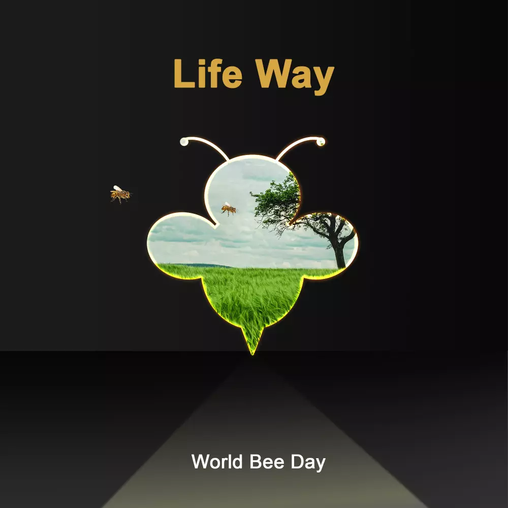 تصميم سوشيال ميديا إحترافي