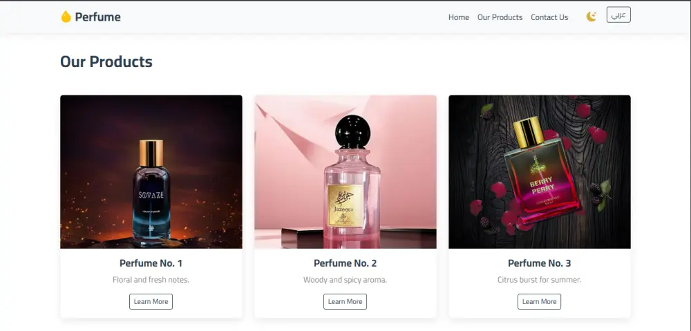 تصميم وبرمجة صفحة هبوط Landing Page احترافية