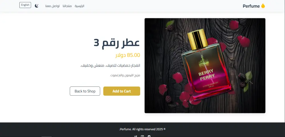 تصميم وبرمجة صفحة هبوط Landing Page احترافية