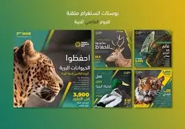 تصميم بوستات جذابة للفيسبوك، إنستغرام، وتويتر