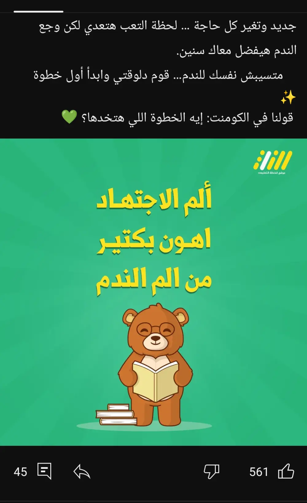 سأقدم خدمات تسويق رقمي متكاملة تشمل كتابة المحتوي وإدارة الإعلانات الممولة