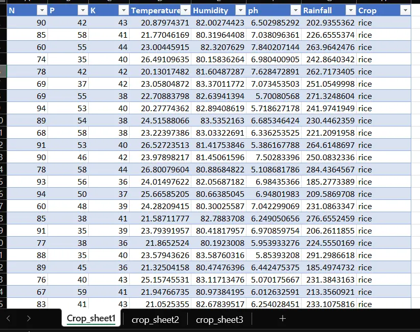 تنسيق، تنظيم وتنظيف جداول البيانات على Microsoft Excel