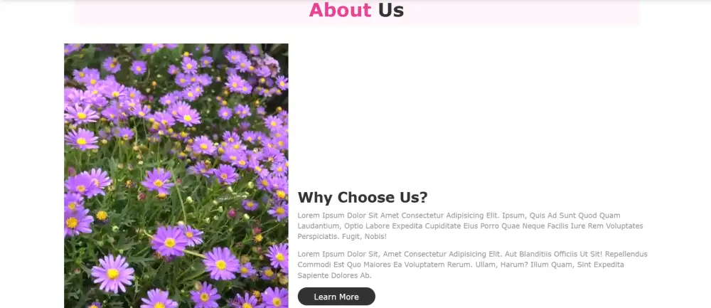 مبرمج واجهات مواقع إلكترونية (Junior Frontend)