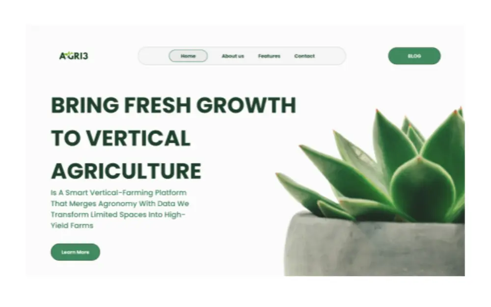 تصميم صفحات ويب مميزه وجذابة مع تجربة مستخدم فريده