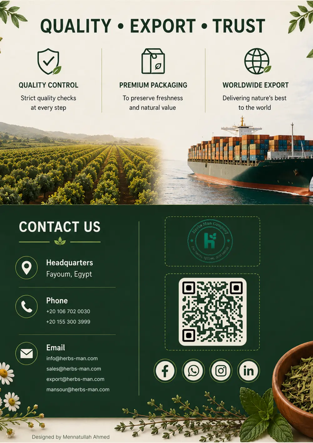 Professional Catalog & Brochure Design