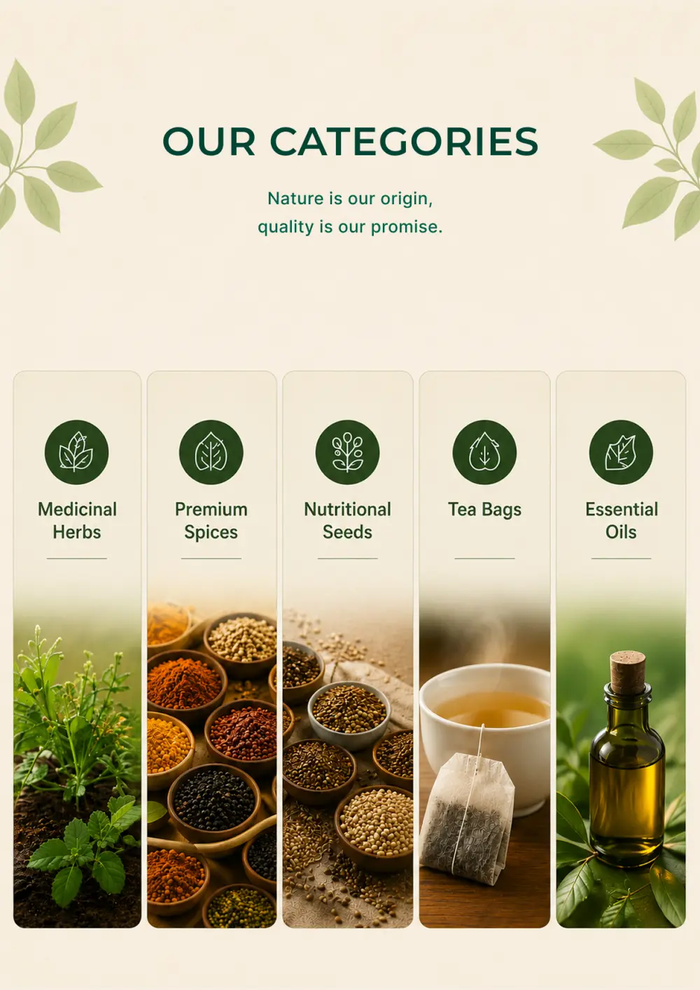 Professional Catalog & Brochure Design
