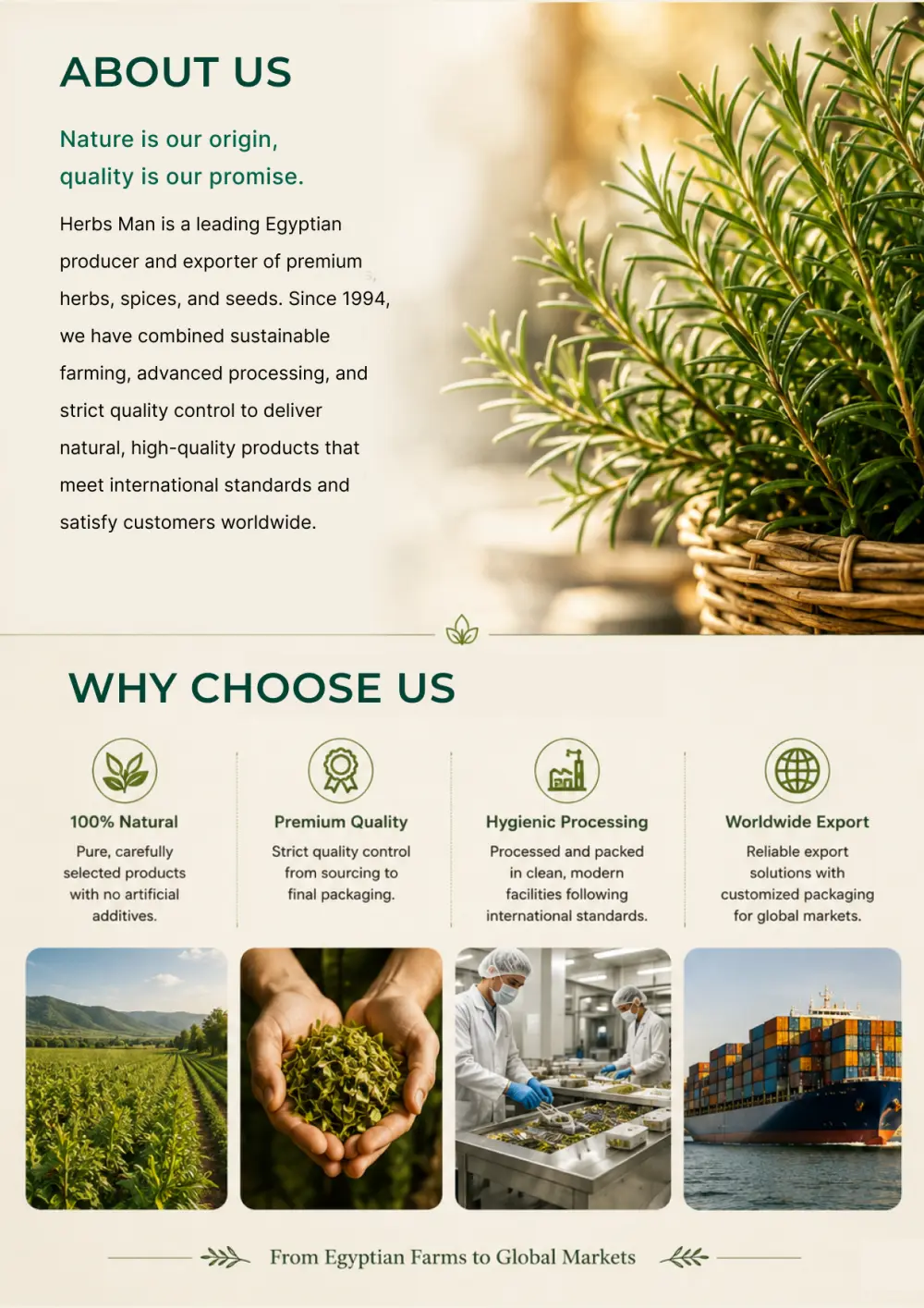 Professional Catalog & Brochure Design