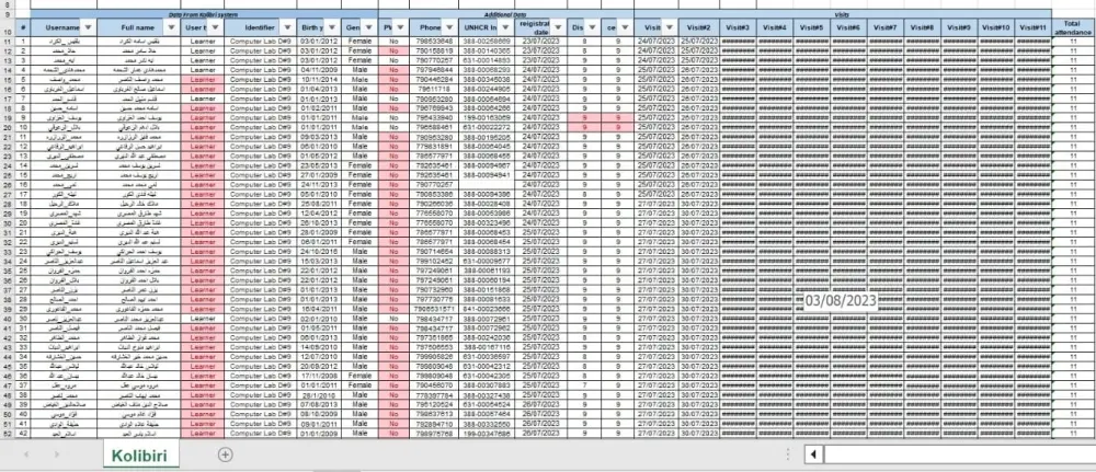 إدخال البيانات
