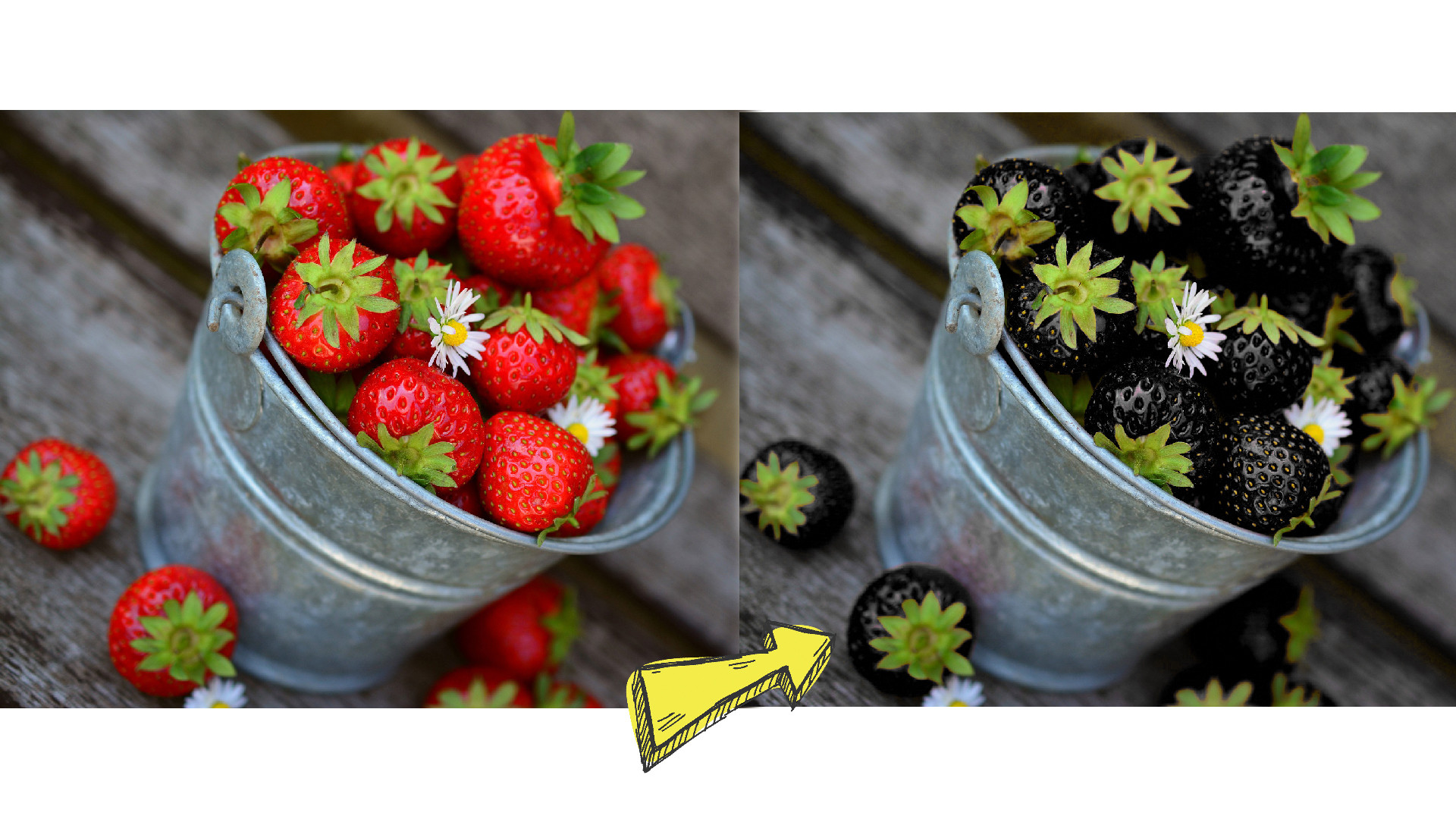 تغيير الوان صورة واحدة باحترافية.