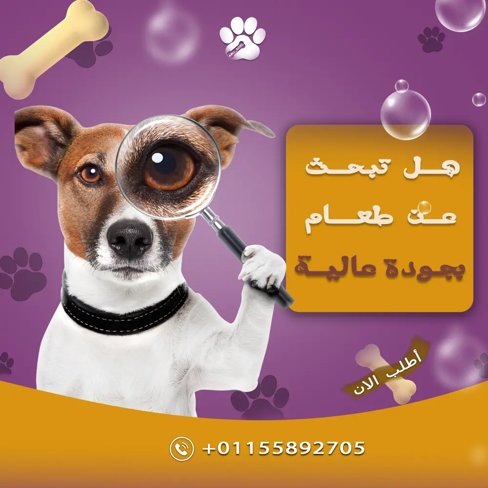 تصميم سوشيال ميديا