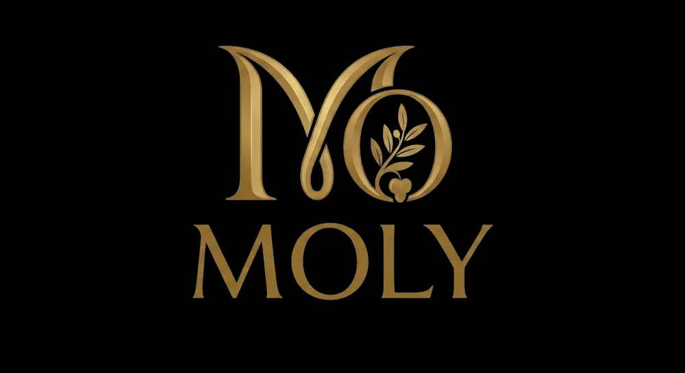 تصميم شعار Logo احترافي وبناء هوية بصرية متكاملة للميديا