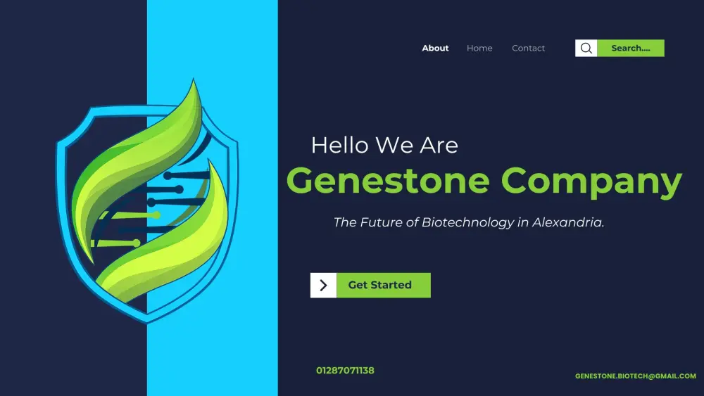 تصميم بورتفوليو شركة يعرض خدماتك وإنجازاتك و يجذب عملائك