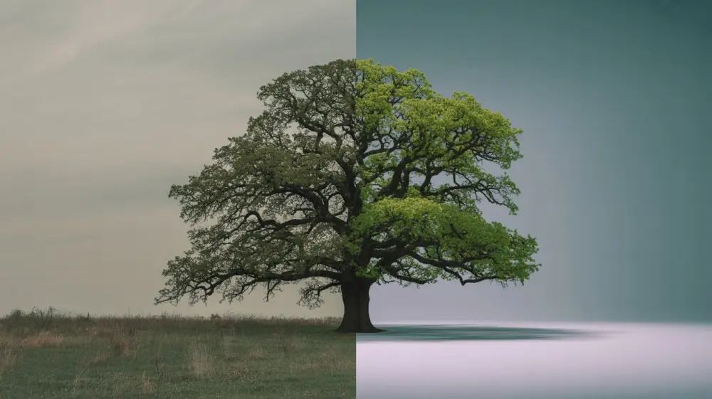 تعديل الصور باحترافية عبر Photoshop