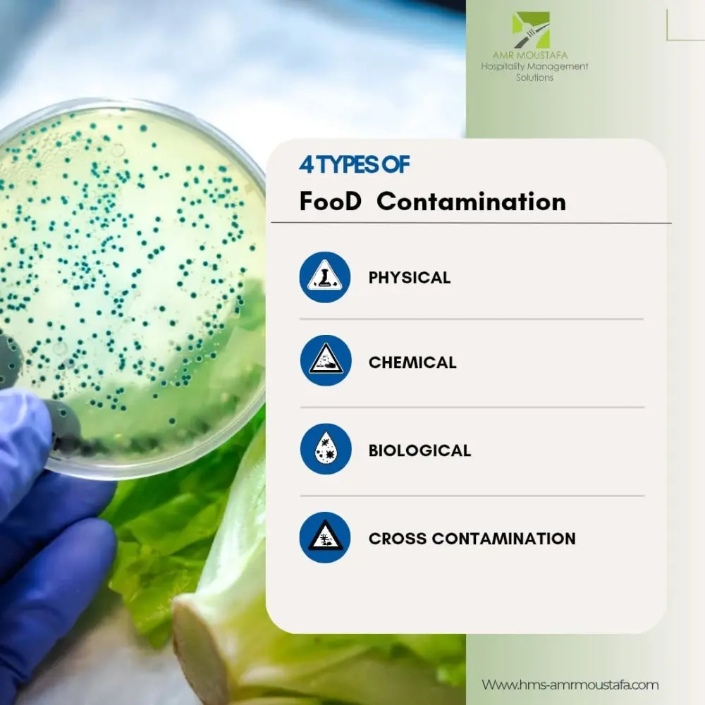 تصميم بوست سوشيال ميديا احترافي يجذب الانتباه ويزيد التفاعل