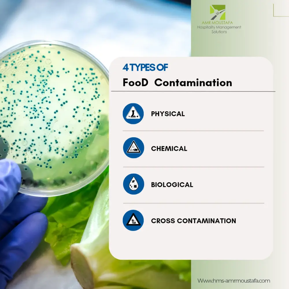 إدارة حسابات التواصل الاجتماعي باحترافية لمدة شهر