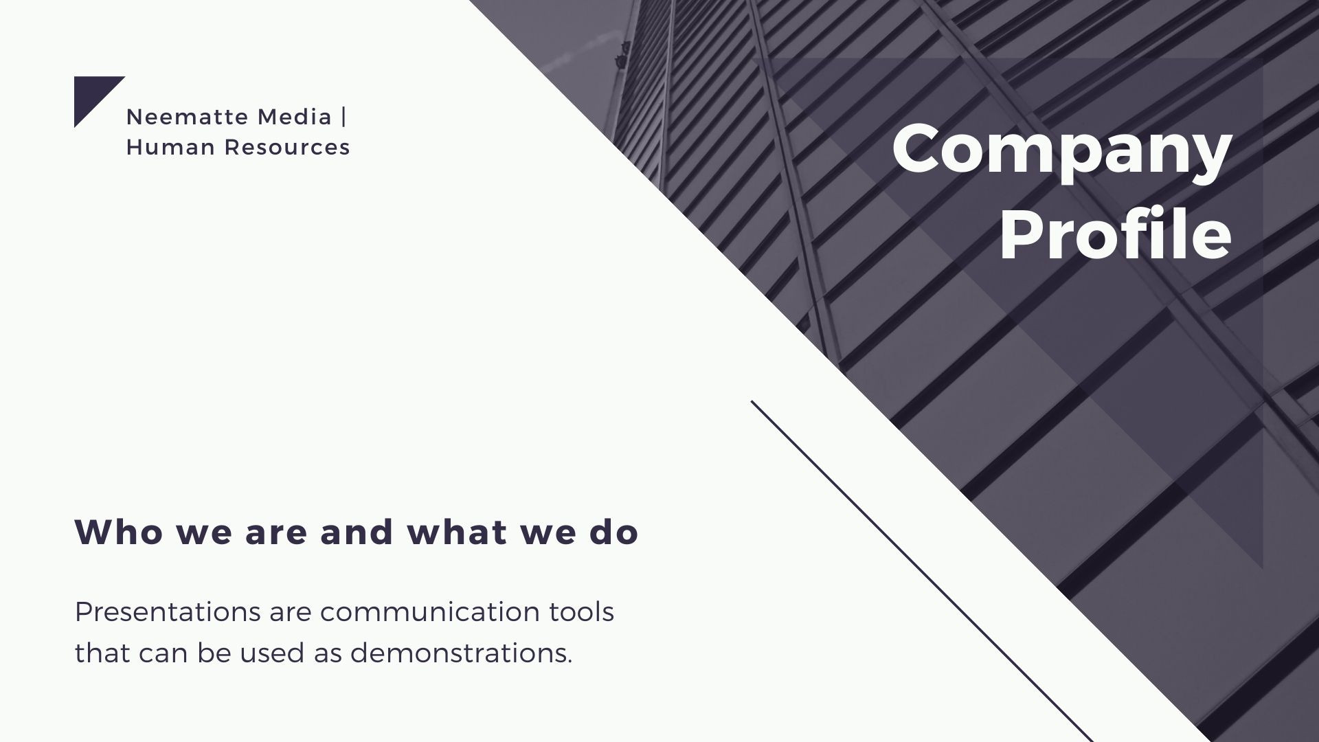 تصميم و إنشاء عروض تقديمية بإحترافية قصوى 20 شريحة مقابل 5 دولار