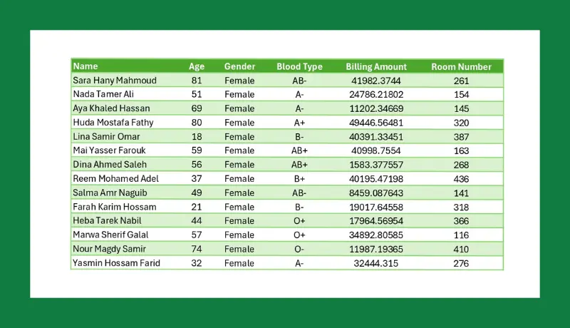 إدخال البيانات على Excel بدقة واحترافية عالية