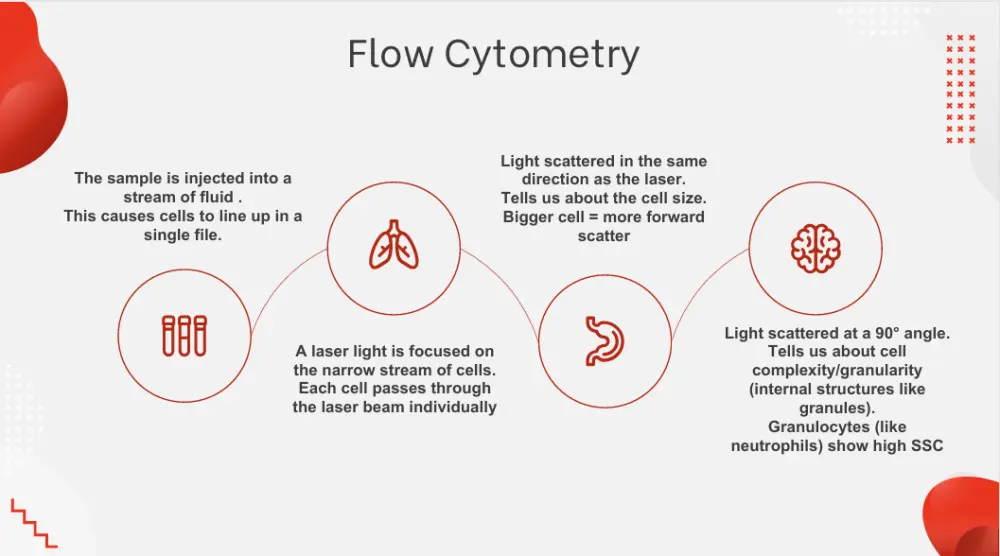 تصميم عرض تقديمي احترافي PowerPoint