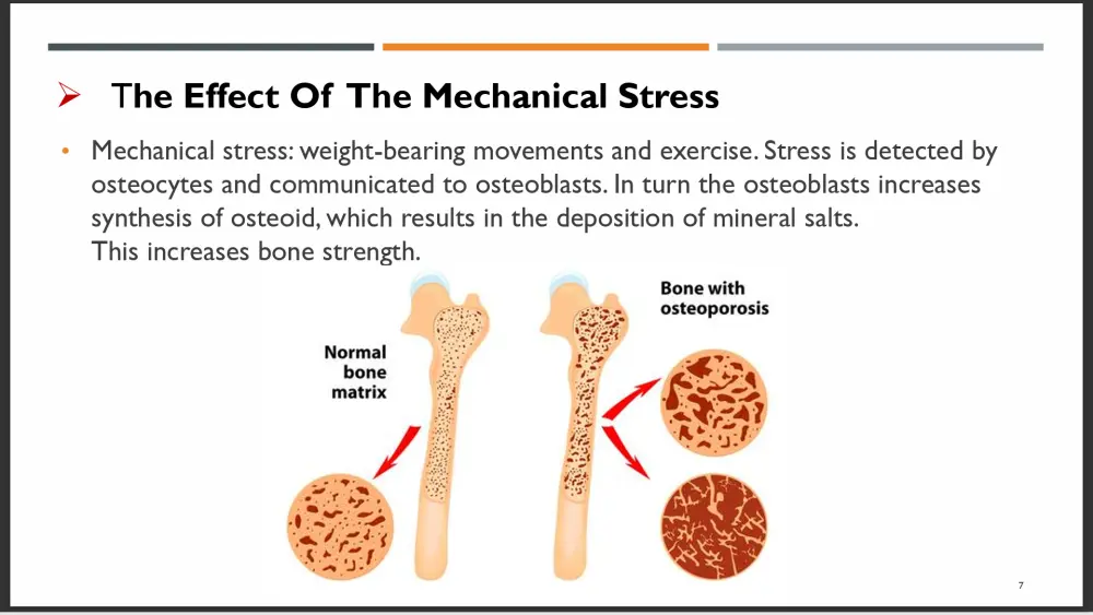 تصميم عرض تقديمي احترافي PowerPoint