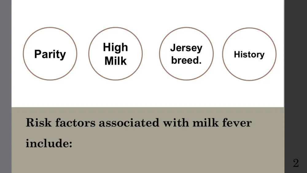 تصميم عرض تقديمي يجذب انتباه الجمهور