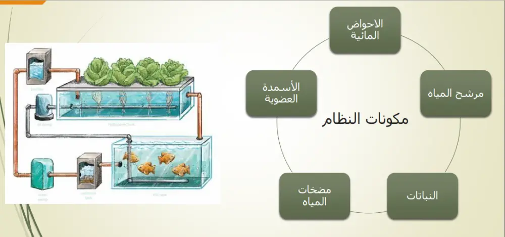 تصميم عرض تقديمي يجذب انتباه الجمهور