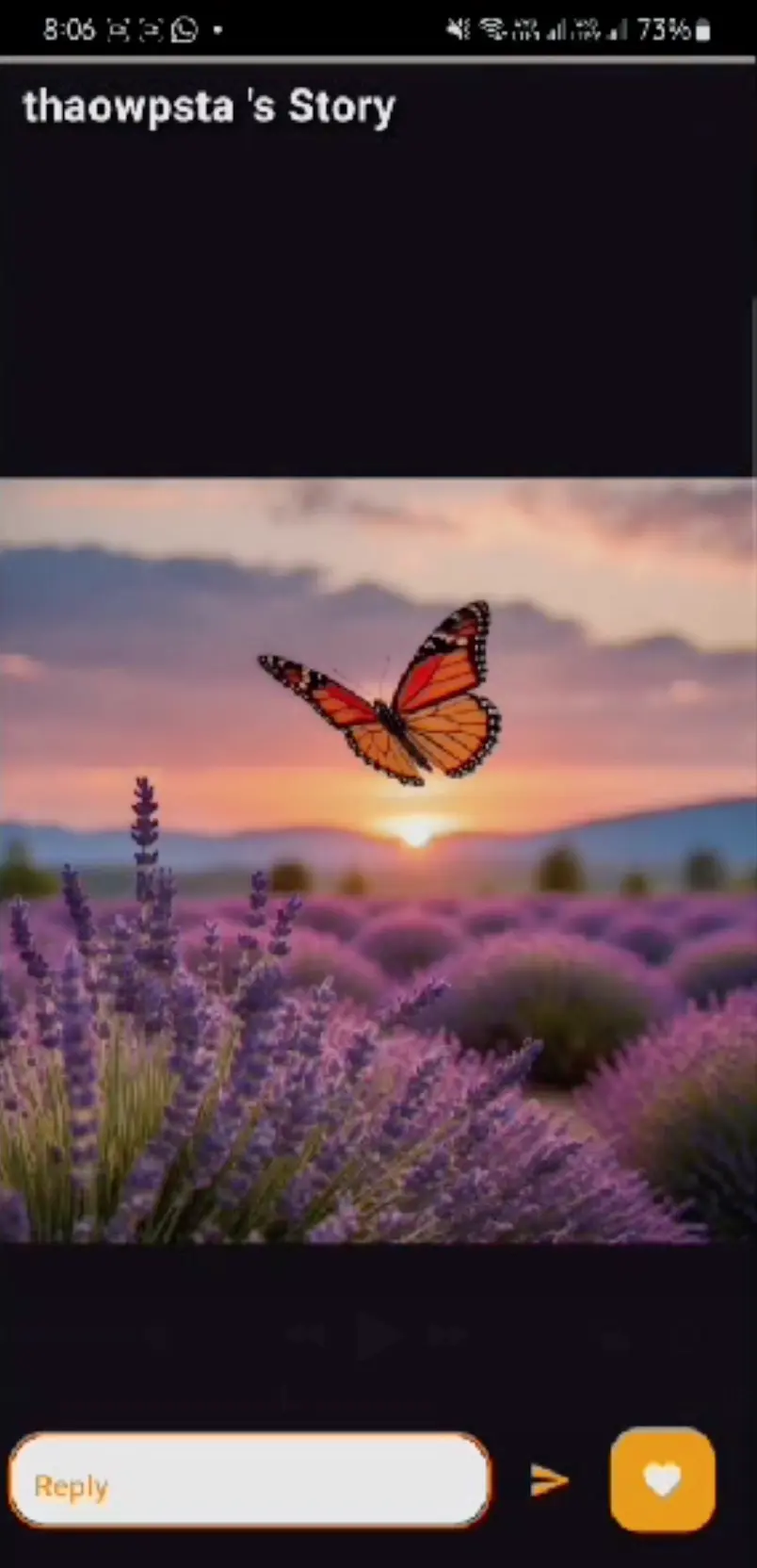 برمجة وتطوير تطبيقات Android, IOS