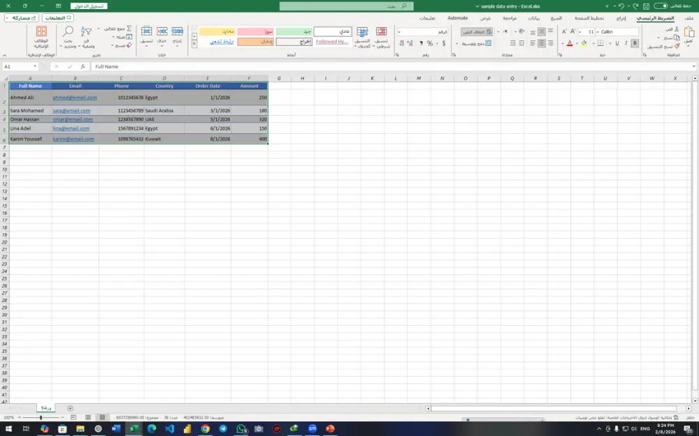 ادخال بيانات و مراجعتها على ورد و اكسل word and excel