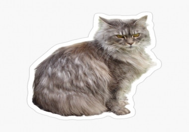 ازالة خلفية الصور وتحويلها الى ملصق او تغيير الخلفية