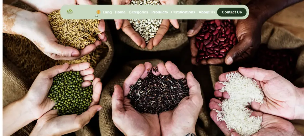 برمجة صفحة هبوط (Landing Page) احترافية ومتجاوبة