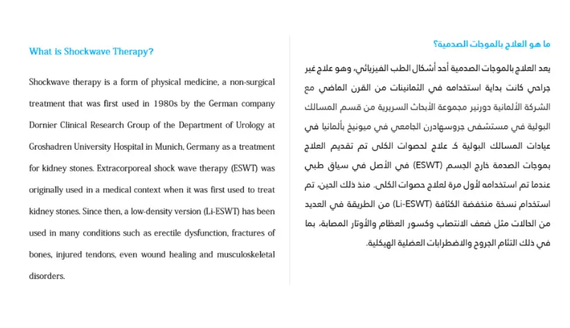 ترجمة 200 كلمة ترجمة احترافية من عربي لانجليزي و العكس