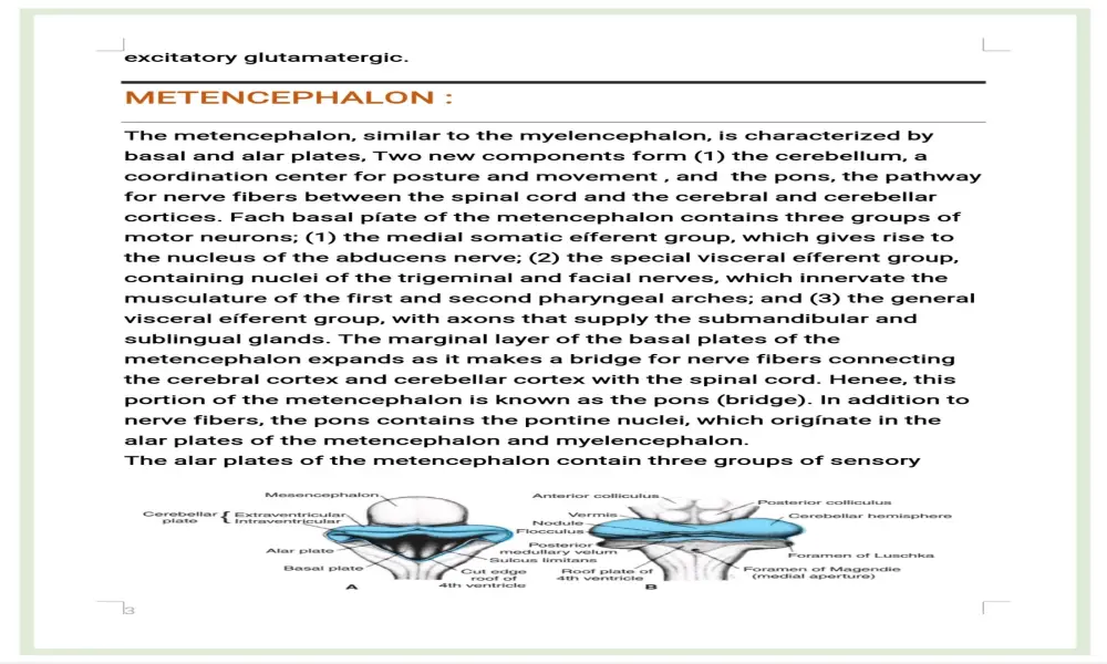 أبحاث ومقالات علمية بأسلوب أكاديمي احترافي