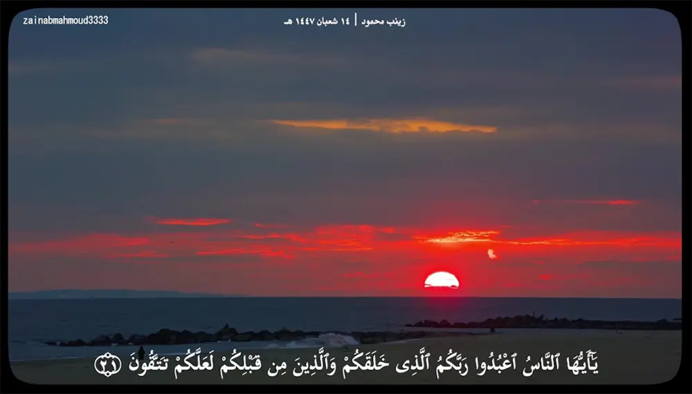 مونتاج فيديو لآيات القرآن الكريم بأعلى جودة