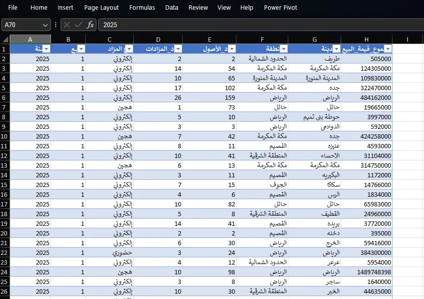 إدخال بيانات وتنسيق وتنظيف ملفات إكسل (Excel) باحترافية ودقة