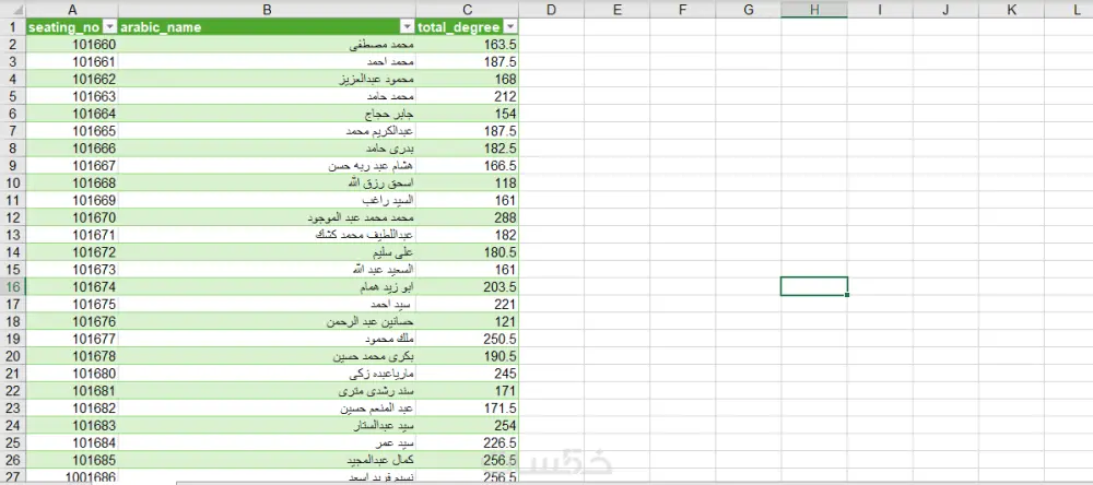 ادخال البيانات علي اكسيل وتنسيقها | Excel Data Entry