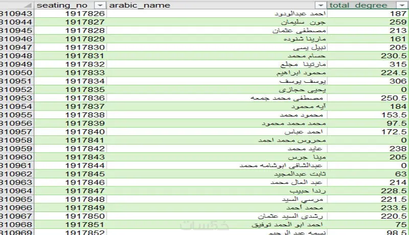 ادخال البيانات علي اكسيل وتنسيقها | Excel Data Entry