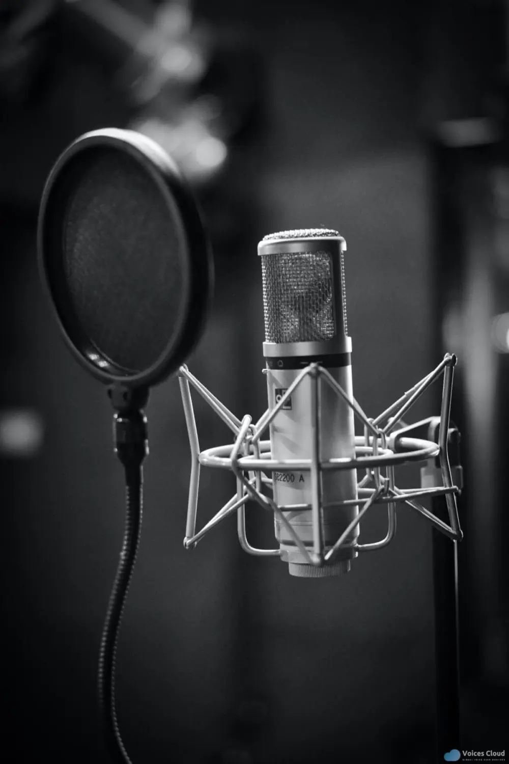 تعليق صوتي احترافي بصوت مصري