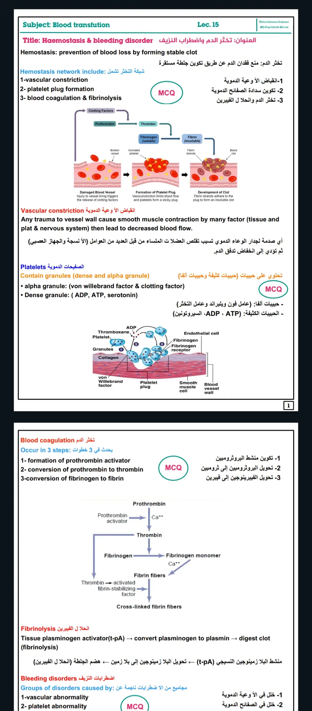 ترجمة ملفات دراسية من الانجليزية للعربية 500 كلمة لكل 5 دولار