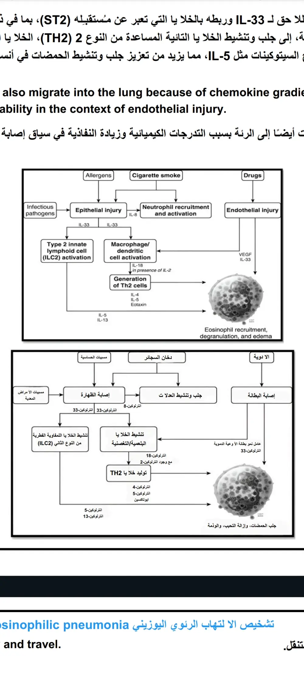 ترجمة ملفات دراسية من الانجليزية للعربية 500 كلمة لكل 5 دولار