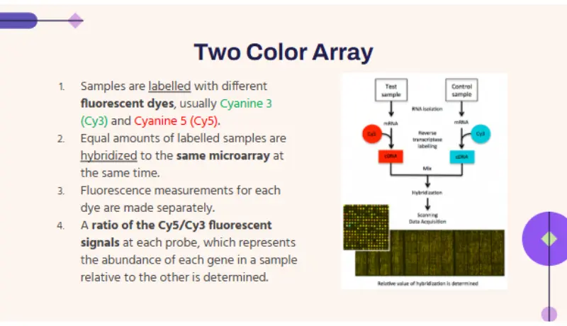 تدقيق لغوي لملف وورد أو عرض تقديمي باللغة الإنجليزية