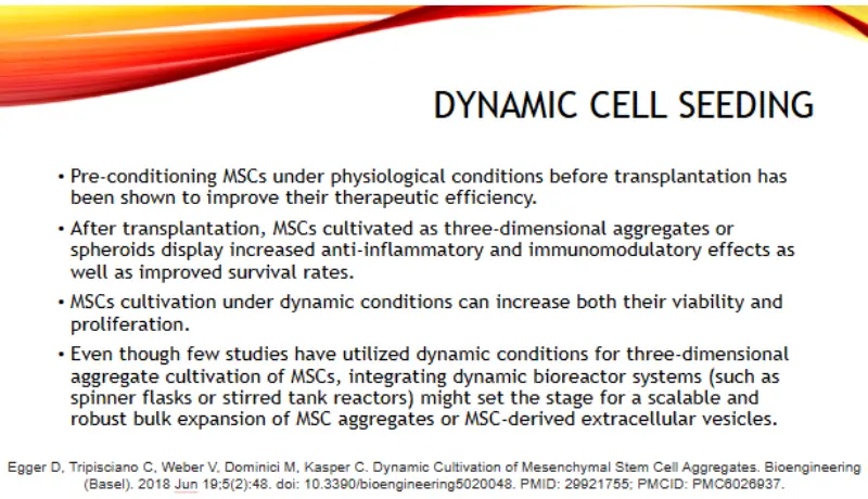 تدقيق لغوي لملف وورد أو عرض تقديمي باللغة الإنجليزية