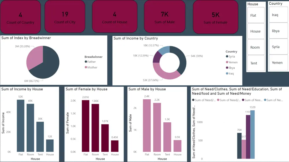 تحليل البيانات وتصميم لوحة تحكم (Dashboard) تفاعلية لكل 500 صف