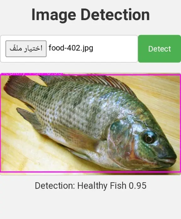 تطوير نظام رؤية حاسوبية لاكتشاف الكائنات في الصور والفيديو باستخدام خوارزميات YOLO