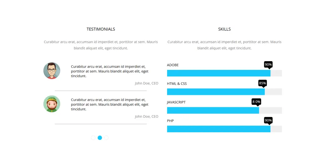 add professional animations and JS effects to your website