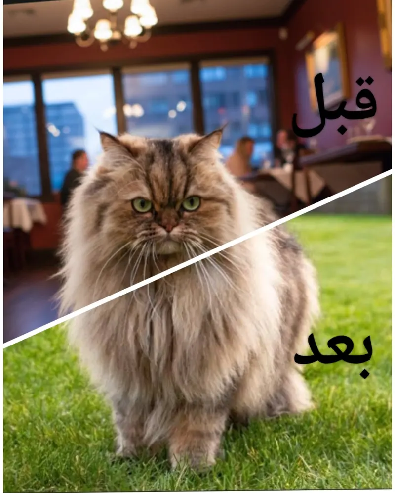 تغيير خلفية الصور بأحترافية وتعديل الإضاءة بإتقان