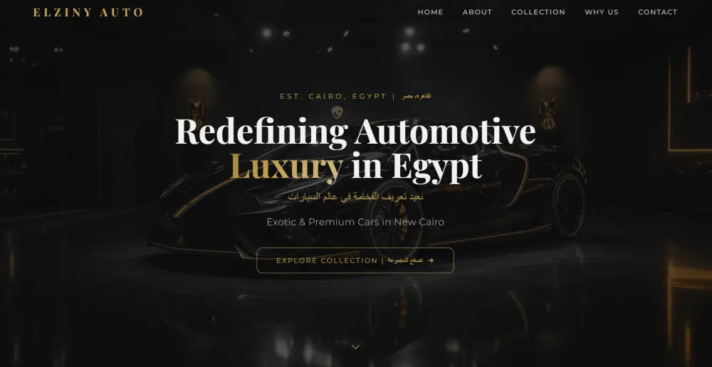 تصميم وتطوير مواقع احترافية