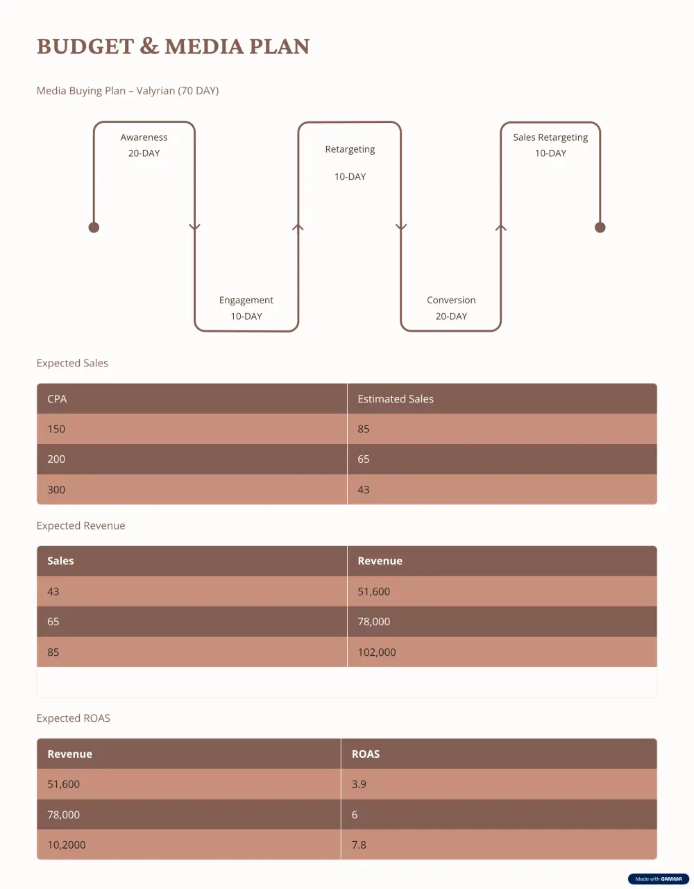 خبير إعلانات فيسبوك: إدارة حملات إعلانية لتحقيق أفضل عائد على الإنفاق (ROAS)